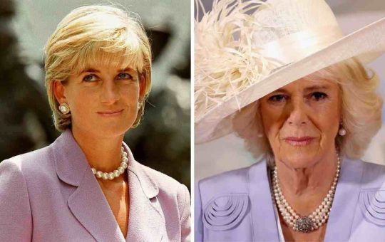 Camilla ruba anche questo a Diana