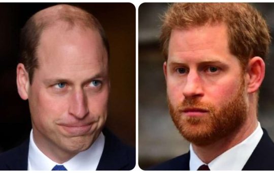 Harry e William di nuovo spensierati