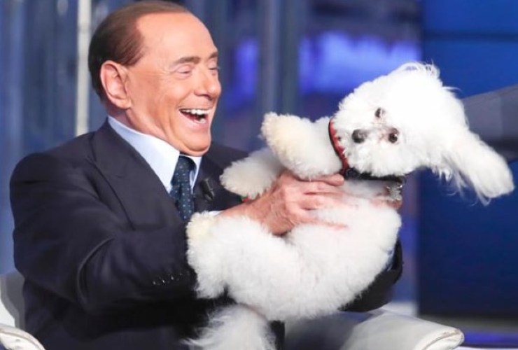Che fine ha fatto il cagnolino di Silvio Berlusconi?